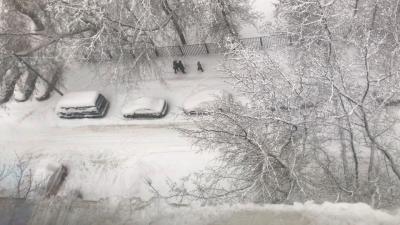 Прикрепленное изображение: снег.jpg